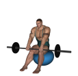 Anterior Raise - Fitness Forward Barbell Straight
